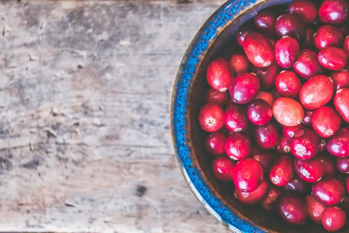Christmas food: a culinary journey