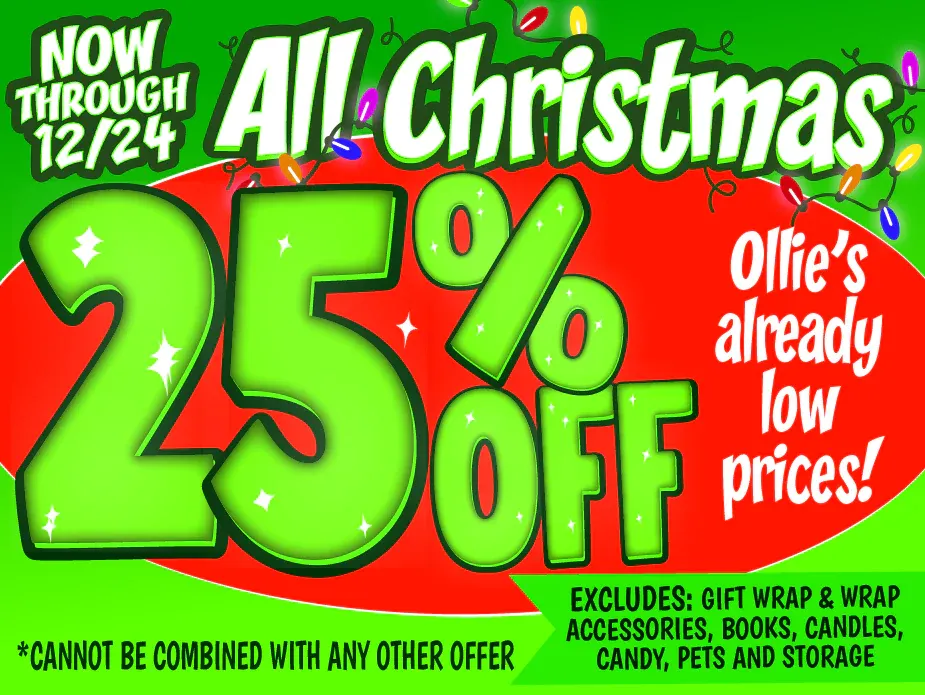 Weekly ad Great deals from December 19 to December 31 2025 - Page 