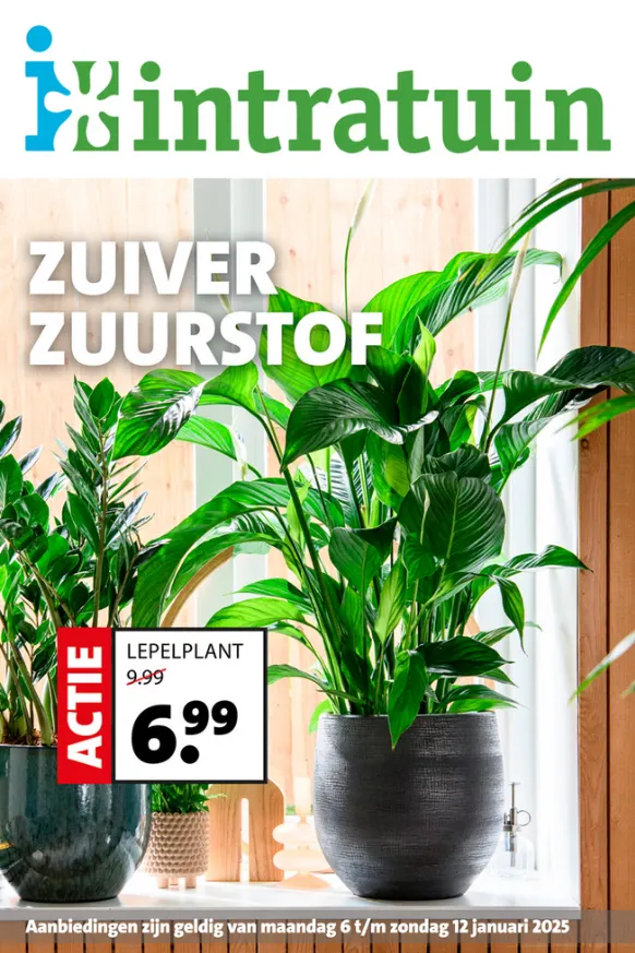 Intratuin Aanbiedingen van 8 januari tot 12 januari 2025 - Folder pagina 1