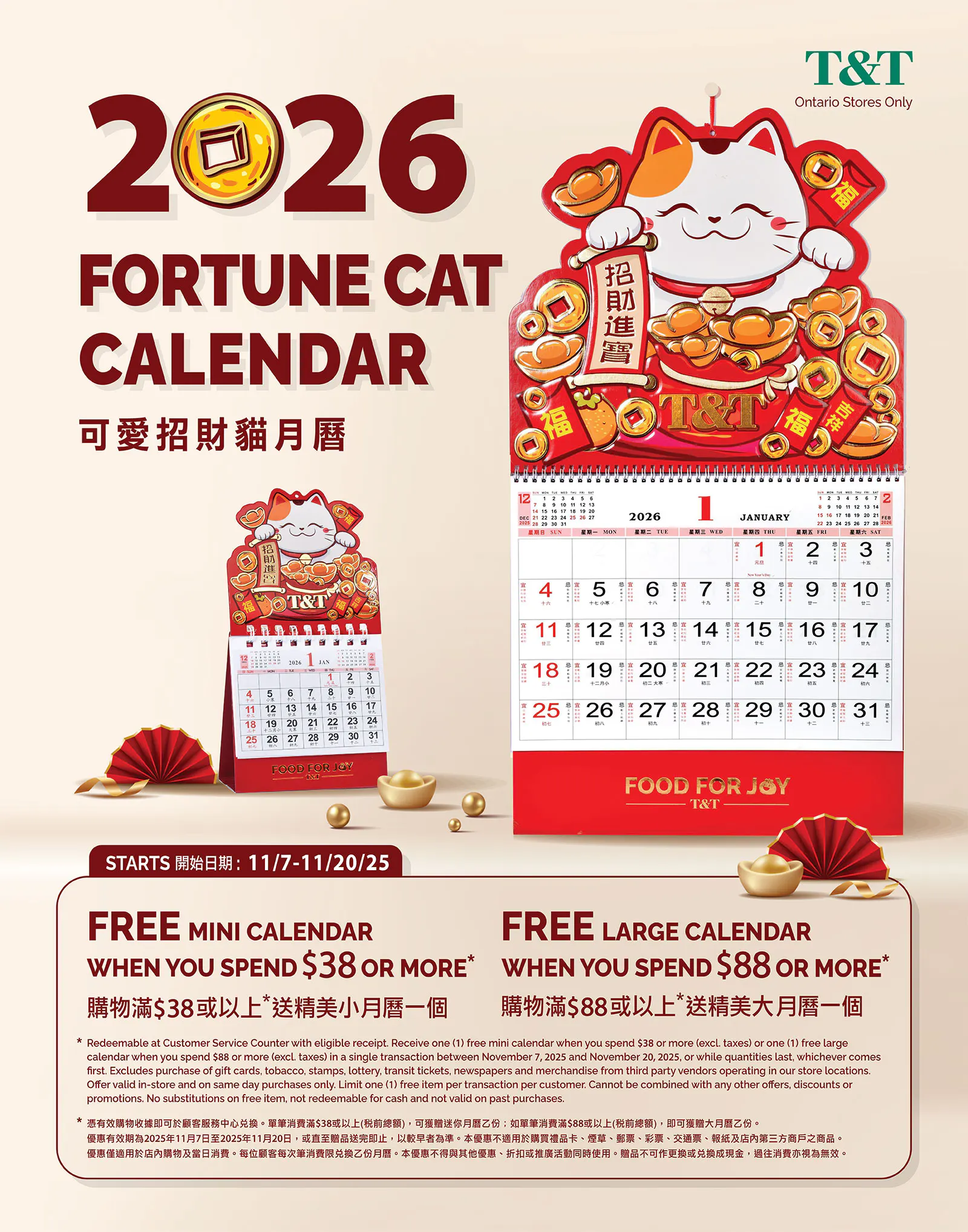 T&T Supermarket Sales from November 7 to November 13 2025 - flyer page 9