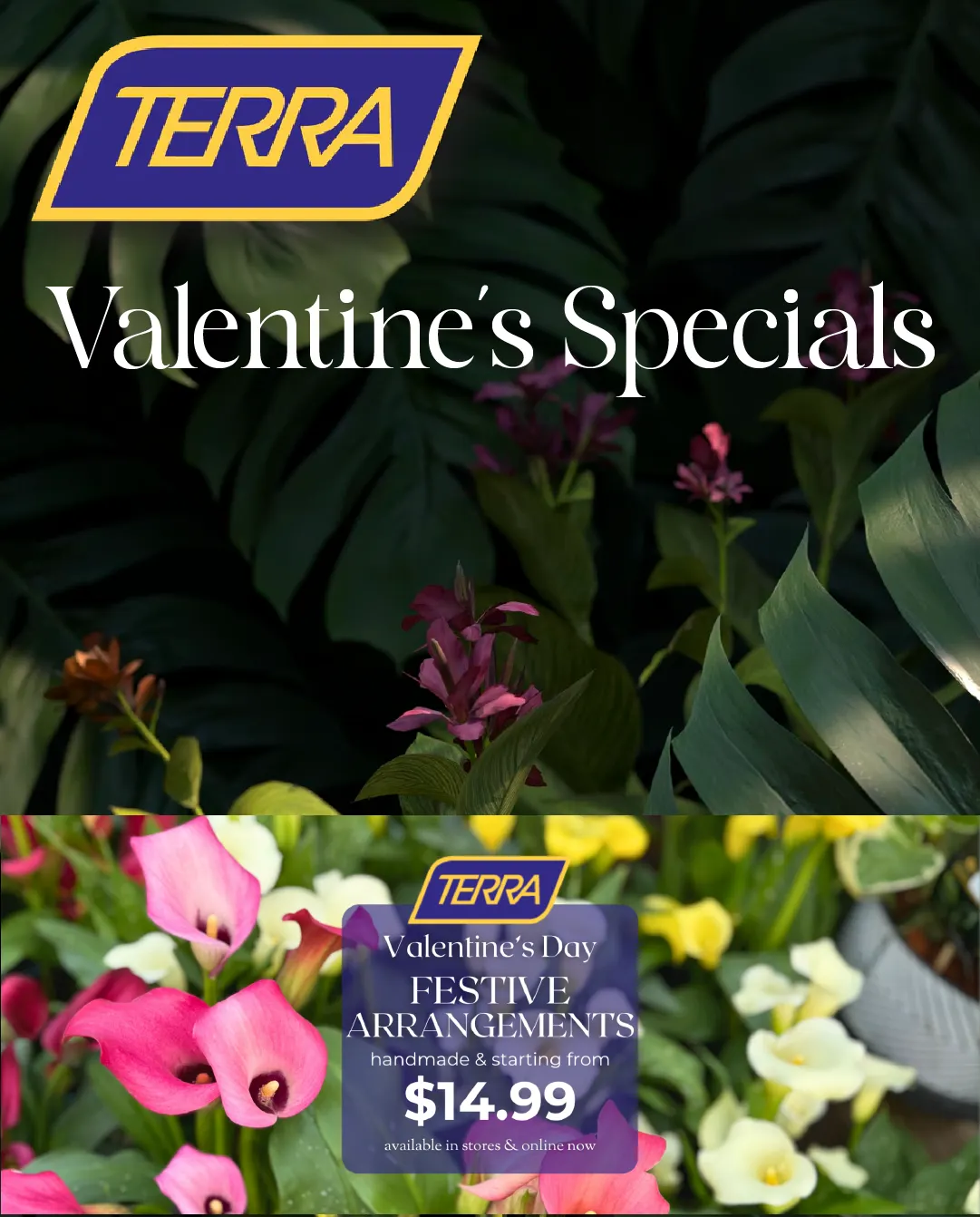 Terra Green Houses from February 10 to February 24 2026 - flyer page 