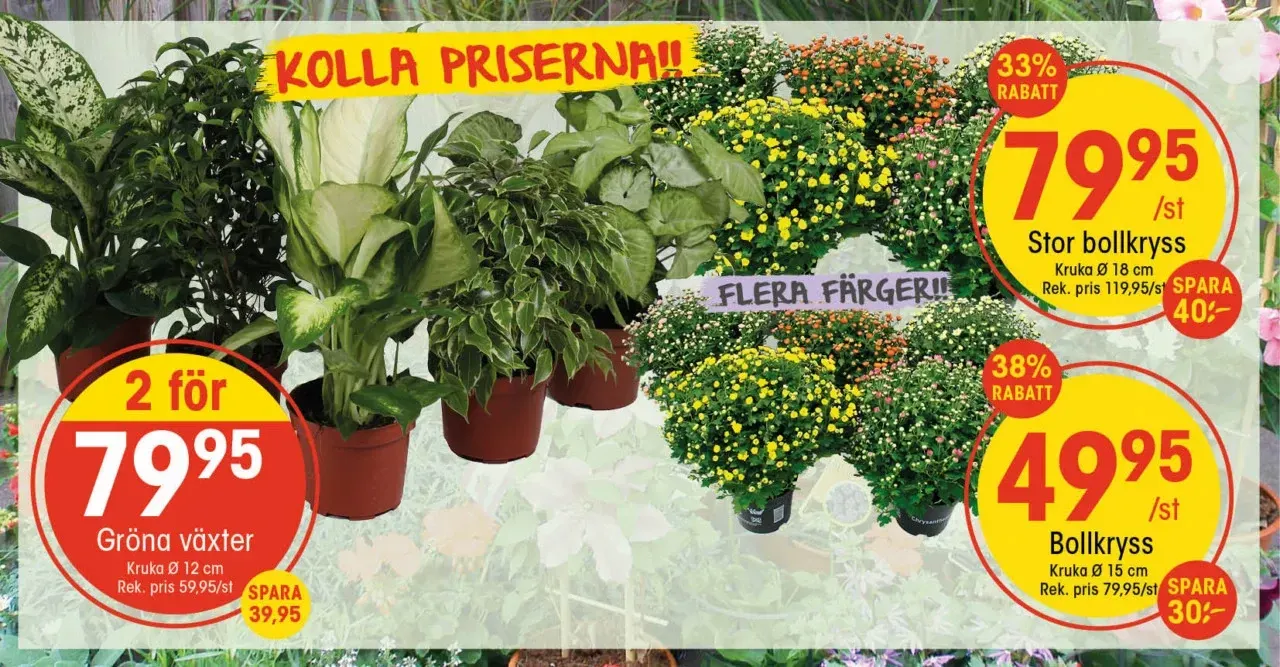 Senaste EKO erbjudanden från 11 augusti till 31 augusti 2025 - Reklamblad sidor 