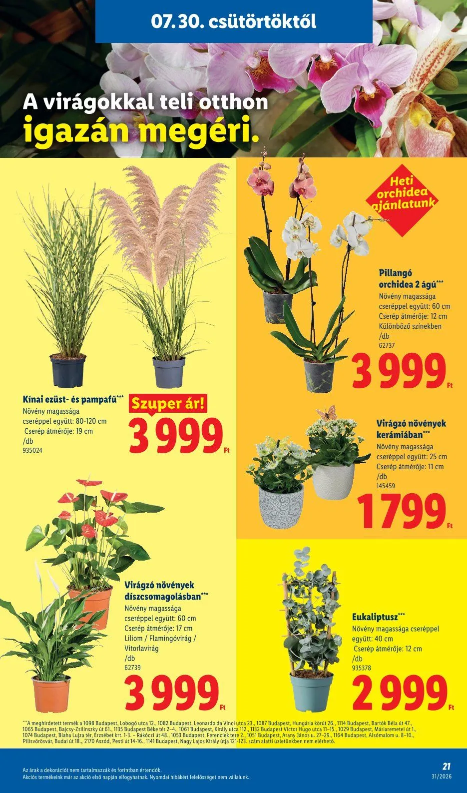 Katalógus Lidl  július 30.-tól augusztus 8.-ig 2026. - Oldal 21
