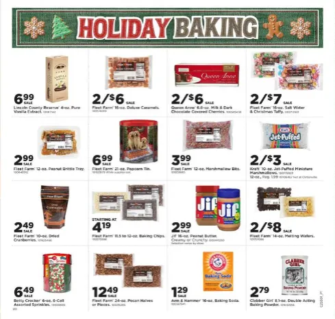 Weekly ad Fleet Farm Sales from December 11 to December 17 2025 - Page 19