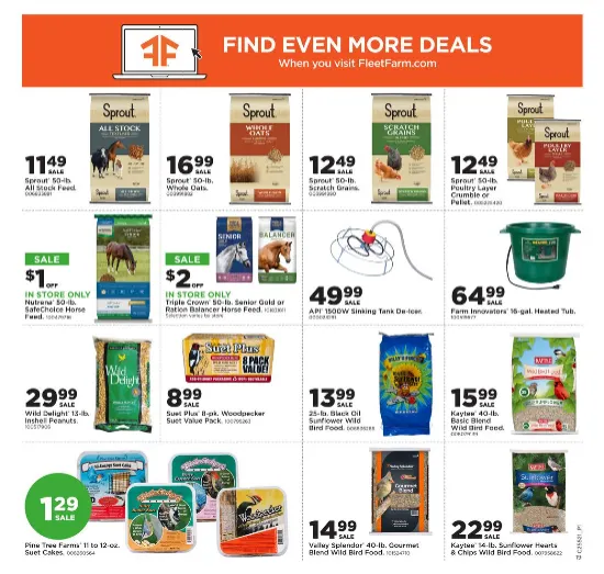 Weekly ad Fleet Farm Sales from December 25 to December 31 2025 - Page 21