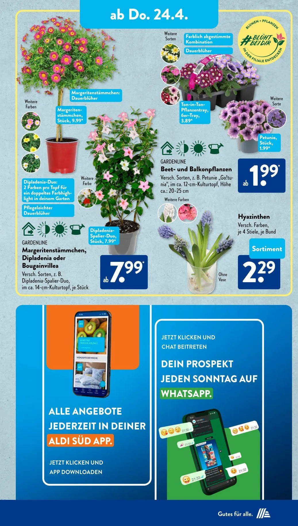 ALDI SÜD Angebote von 22. April bis 26. April 2025 - Prospekt seite 21