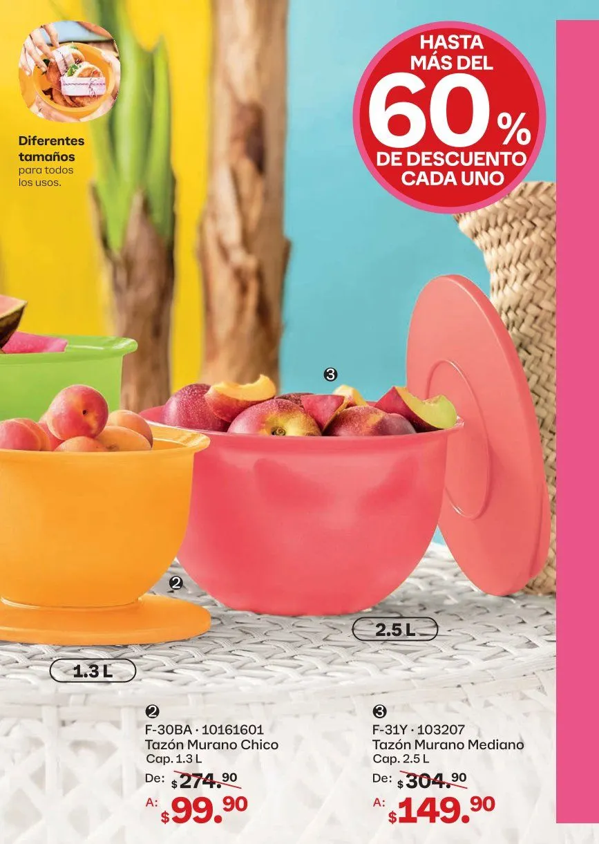Catálogo de Tupperware Ofertas 17 de abril al 20 de mayo 2026 - Pagina 21
