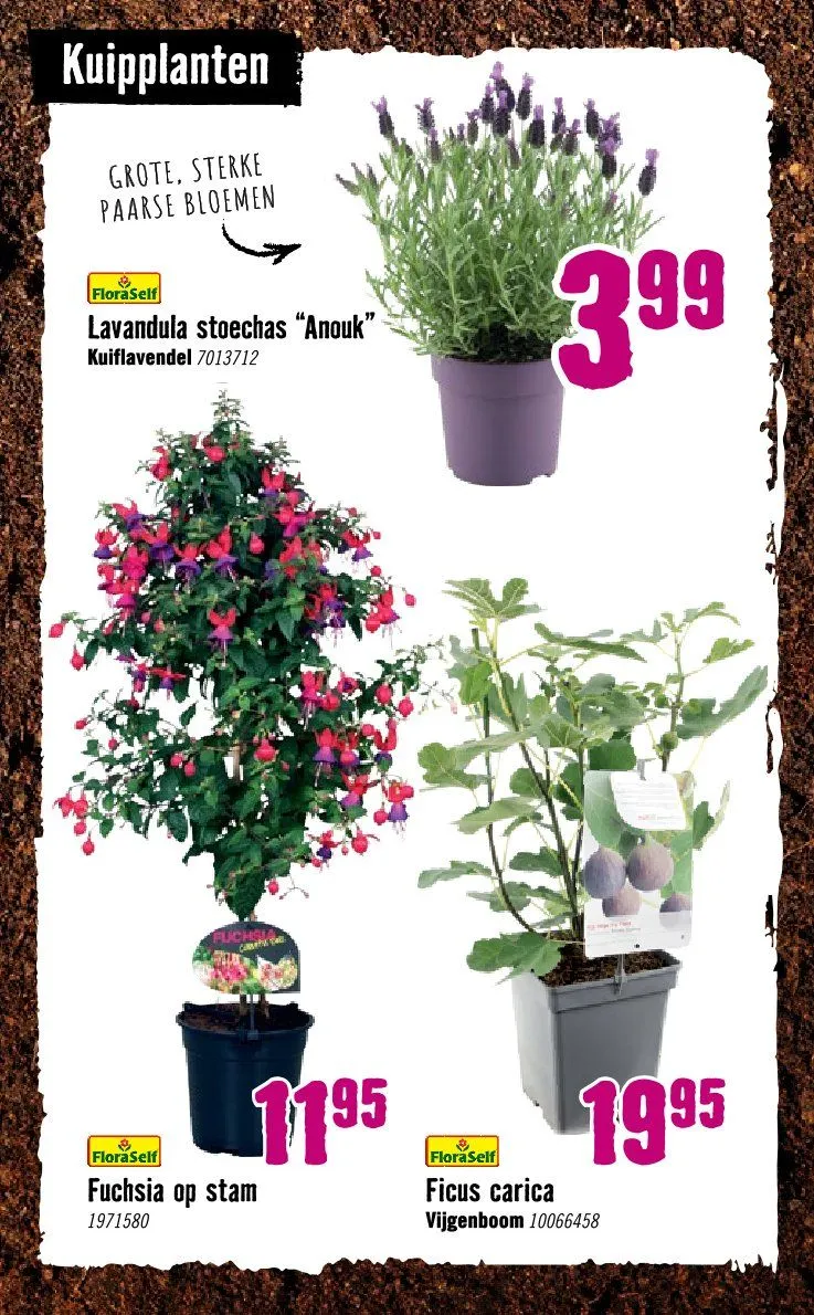 Hornbach folders van 8 april tot 3 mei 2026 - Folder pagina 22