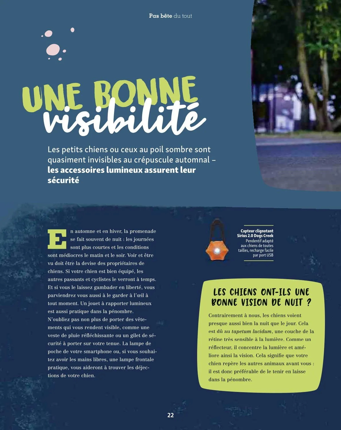 Maxi ZOO Catalogue du 23 décembre au 31 décembre 2025 - Catalogue page 22