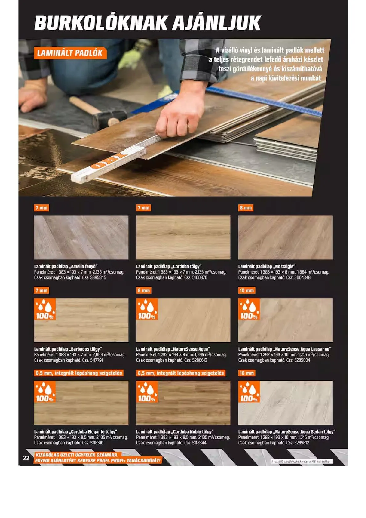 Katalógus OBI Legfrissebb Ajánlatai március 17.-tól június 21.-ig 2026. - Oldal 22