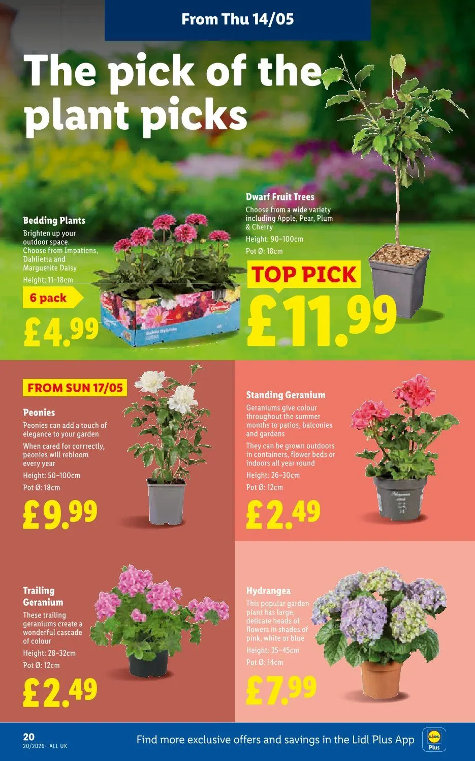  Lidl catalogues from 14 May to 20 May 2026 - Catalogue Page 22