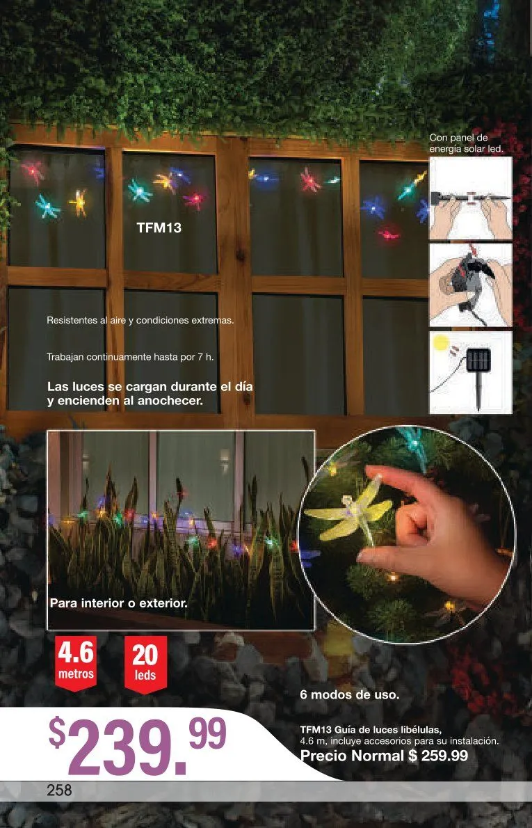 Catálogo de Arabela catálogos y ofertas 3 de marzo al 31 de marzo 2026 - Pagina 230