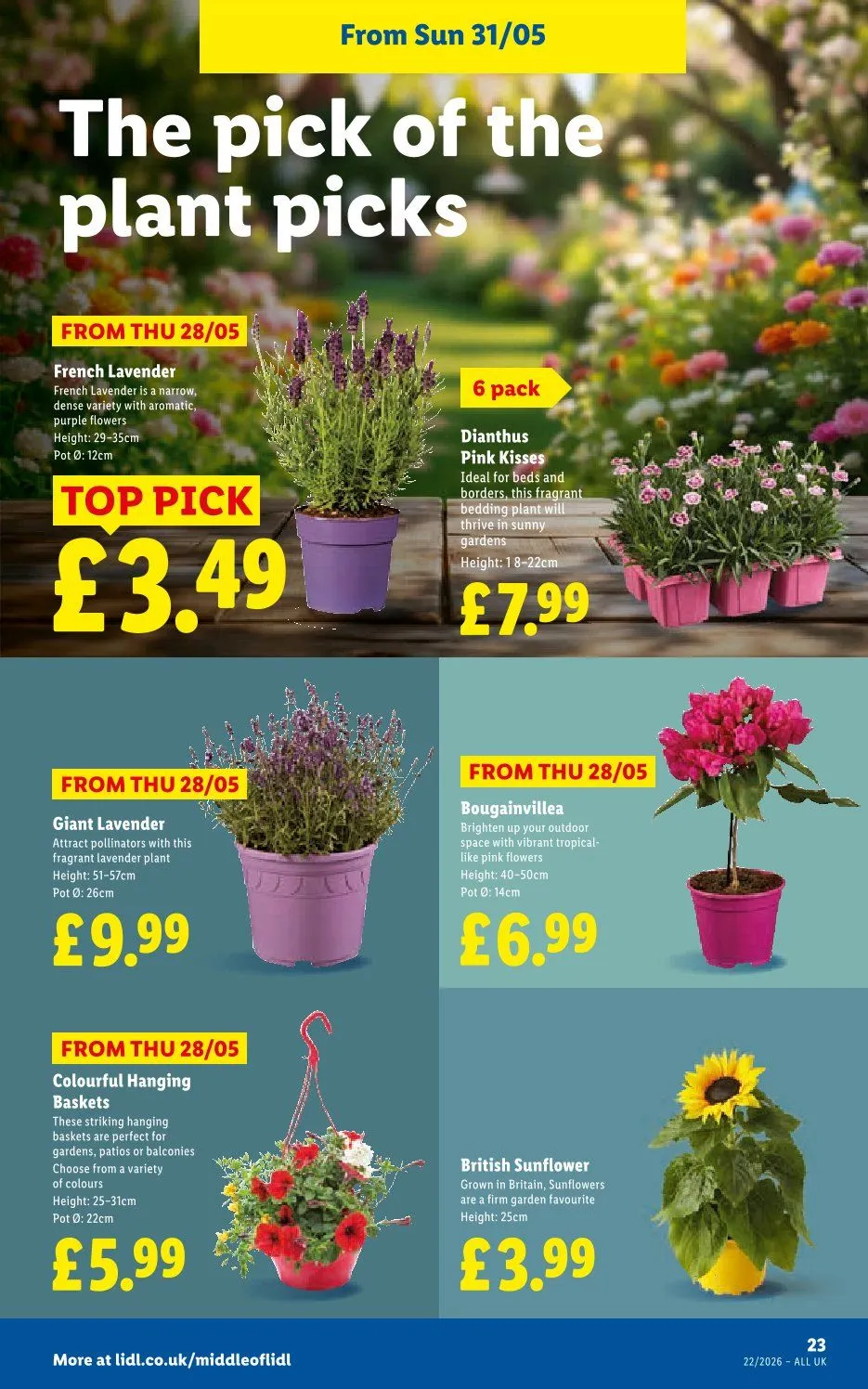 Lidl Catalogues from 28 May to 3 June 2026 - Catalogue Page 23