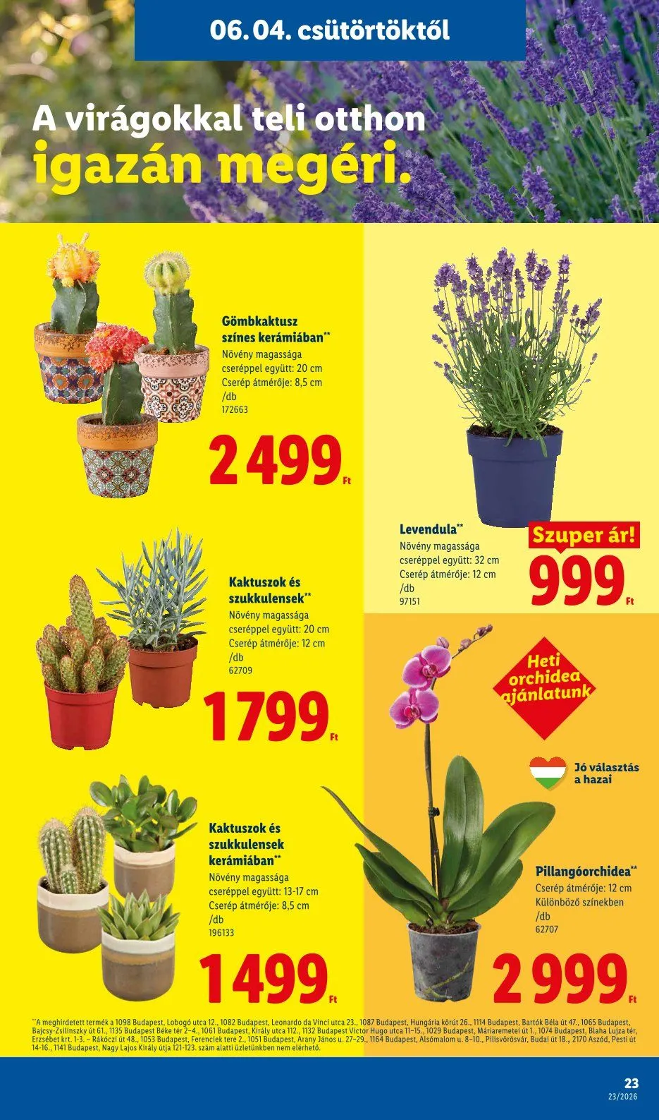 Katalógus Lidl legfrissebb ajánlatai június 4.-tól június 10.-ig 2026. - Oldal 23