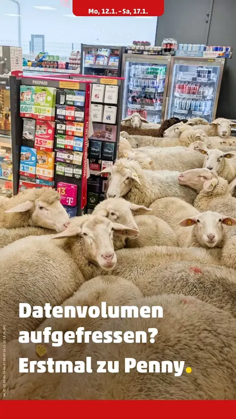 Penny De Folder van 12 januari tot 17 januari 2026 - Folder pagina 24