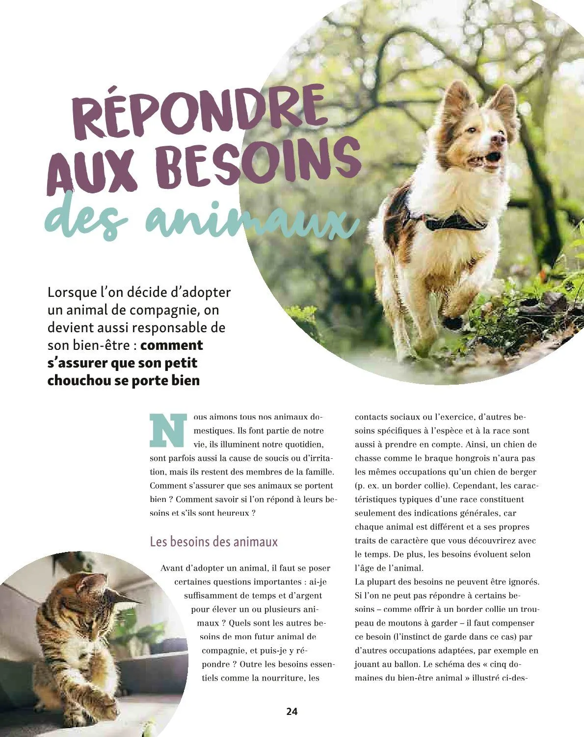 Maxi ZOO Catalogue du 23 décembre au 31 décembre 2025 - Catalogue page 24