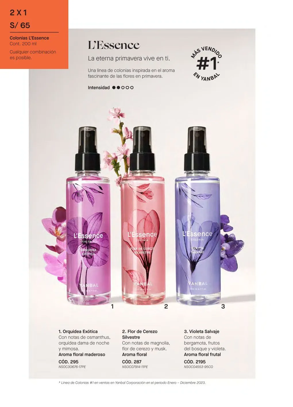 Catalogo de Yanbal Cat{alogo 1 de febrero al 28 de febrero 2025 - Pag 24