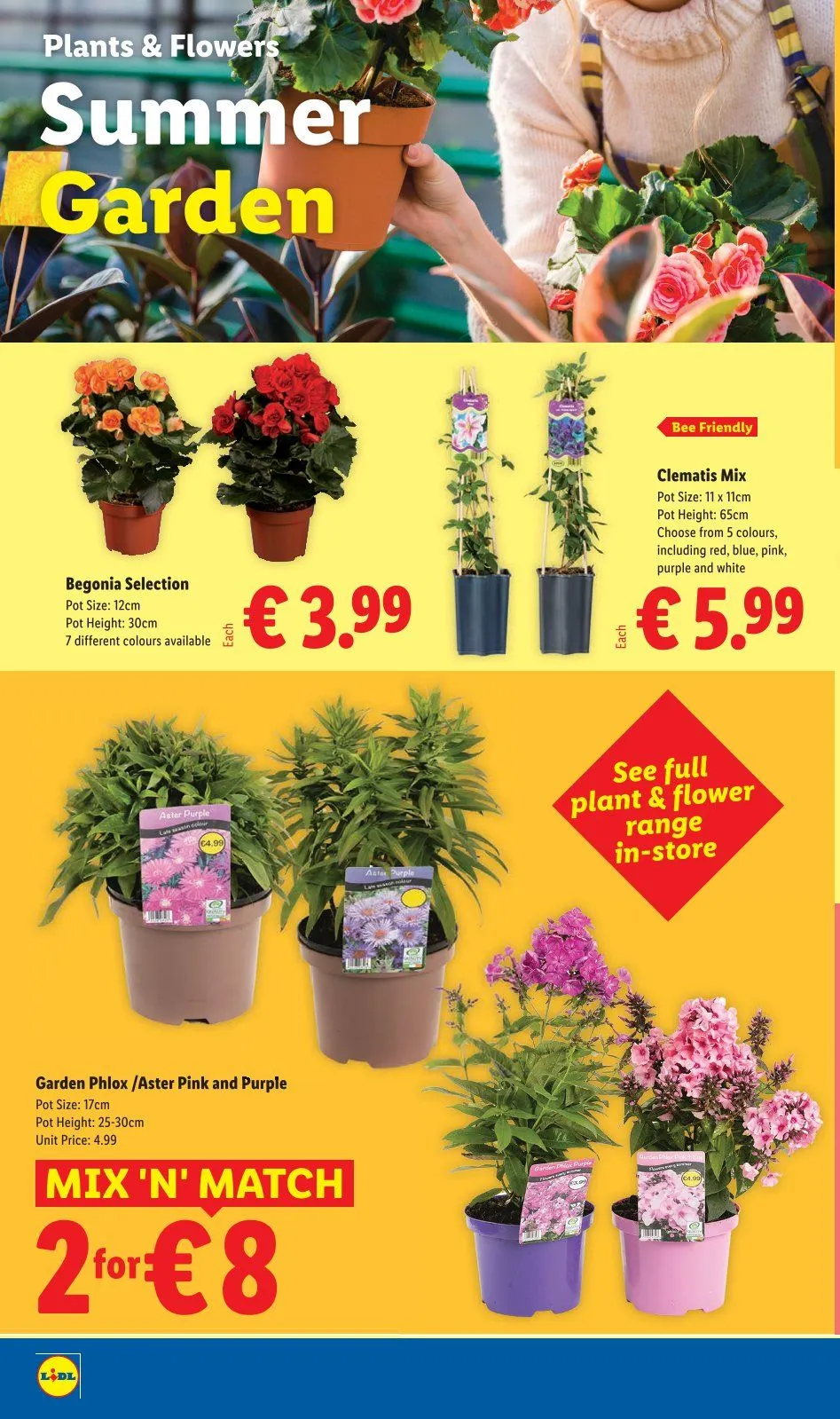Lidl - 9 July 15 July 2026 - Page 24