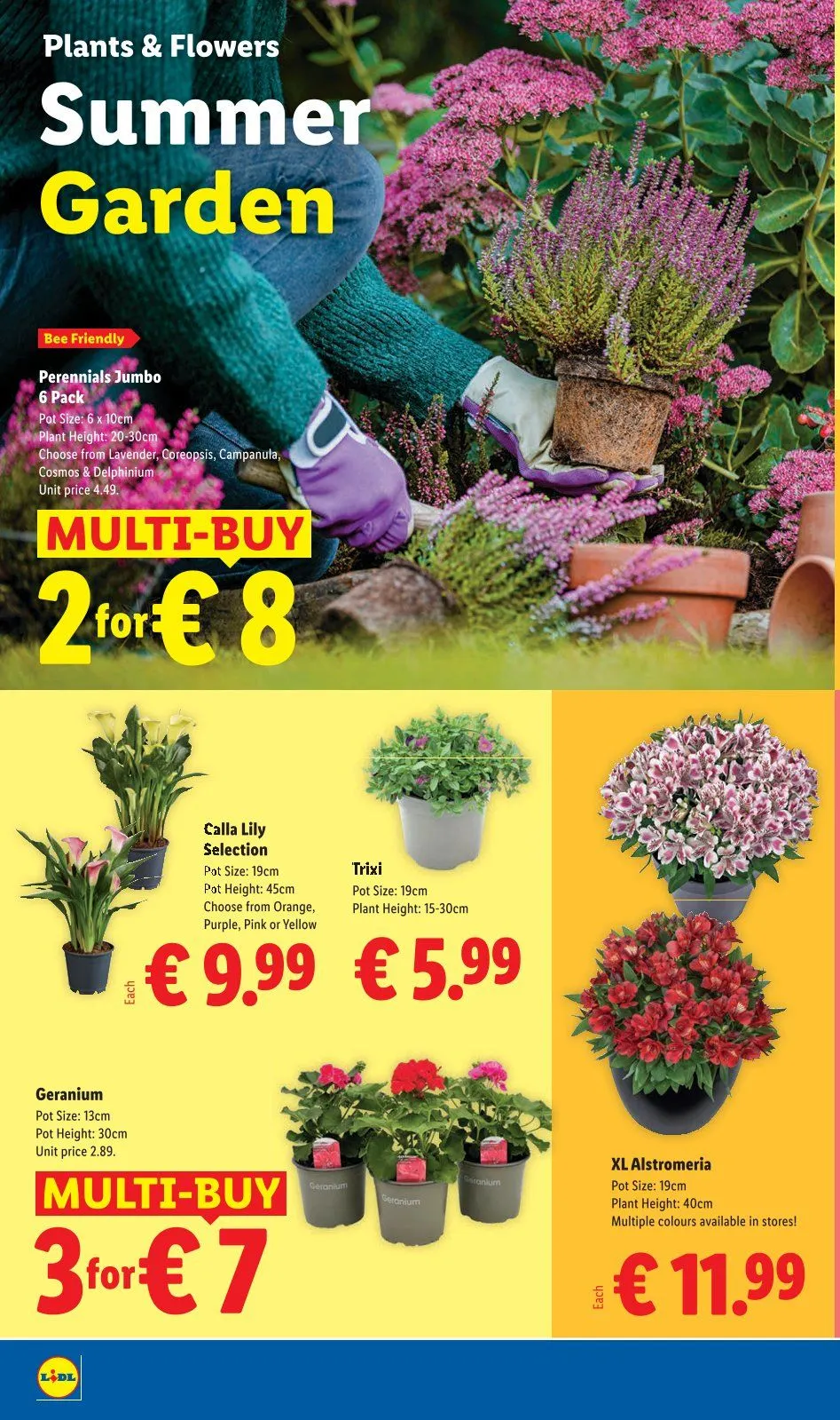 Lidl Sales - 18 June 24 June 2026 - Page 24