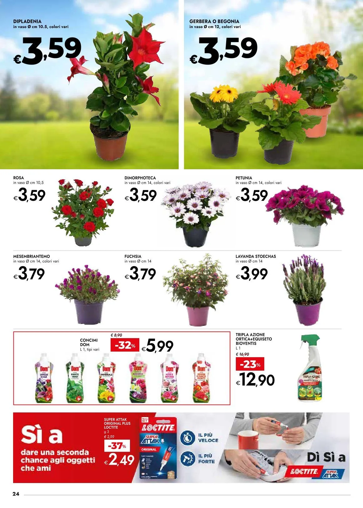 Volantino da 12 marzo a 25 marzo di 2026 - Pagina del volantino 24