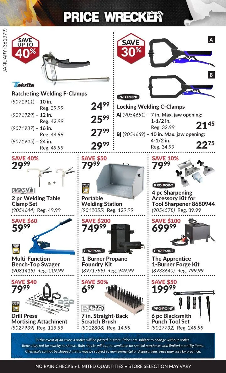 Princess Auto Sales from February 1 to January 31 2025 - flyer page 24