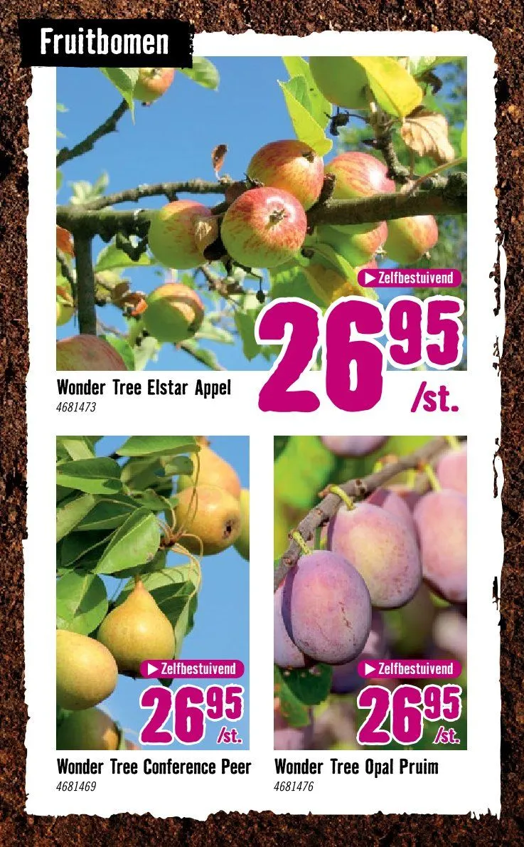 Hornbach folders van 8 april tot 3 mei 2026 - Folder pagina 24