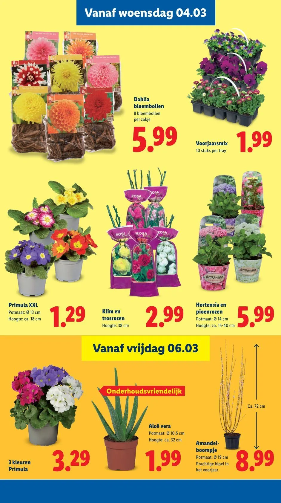 Lidl Folders van 2 maart tot 8 maart 2026 - Folder pagina 24