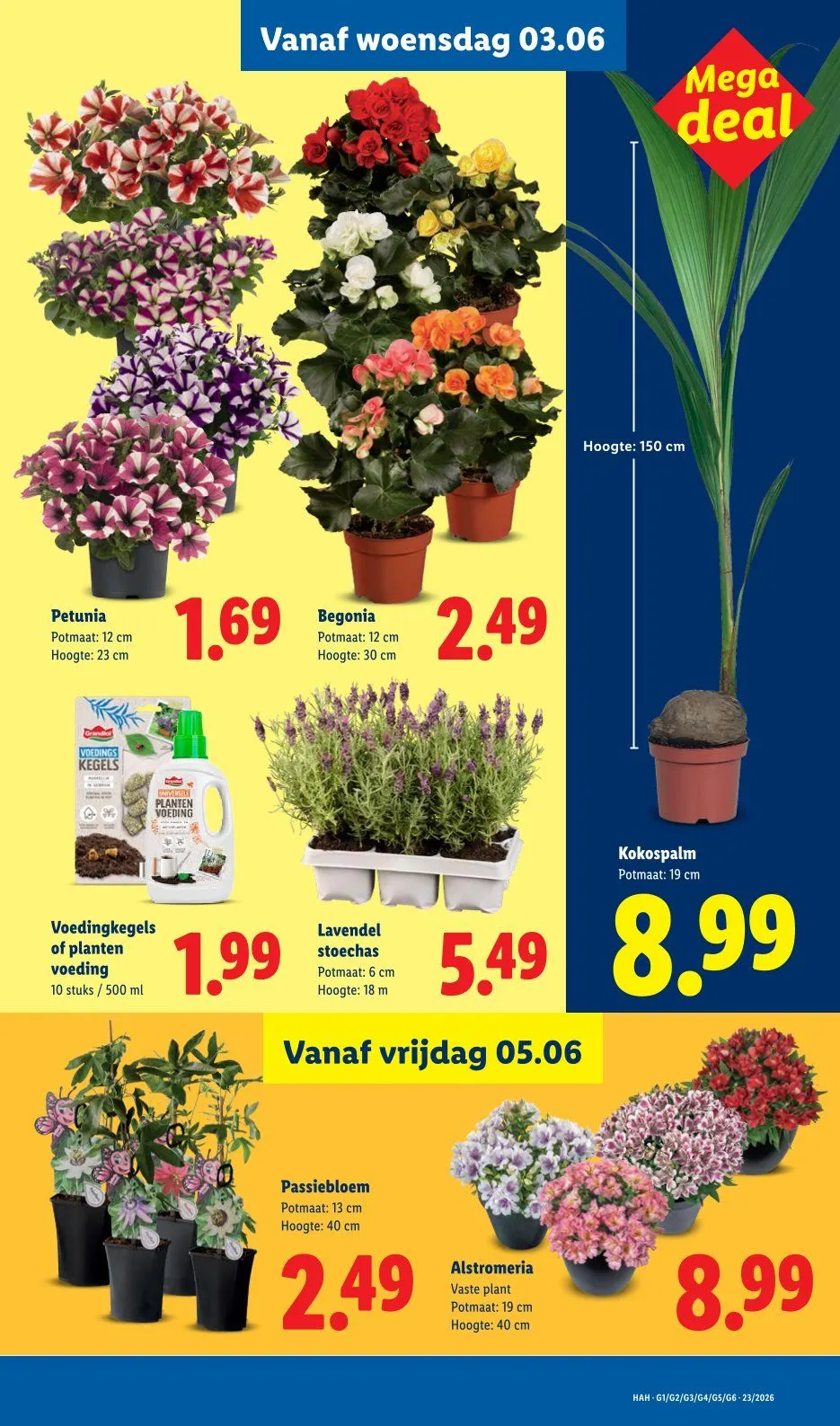 Lidl folders van 1 juni tot 7 juni 2026 - Folder pagina 24