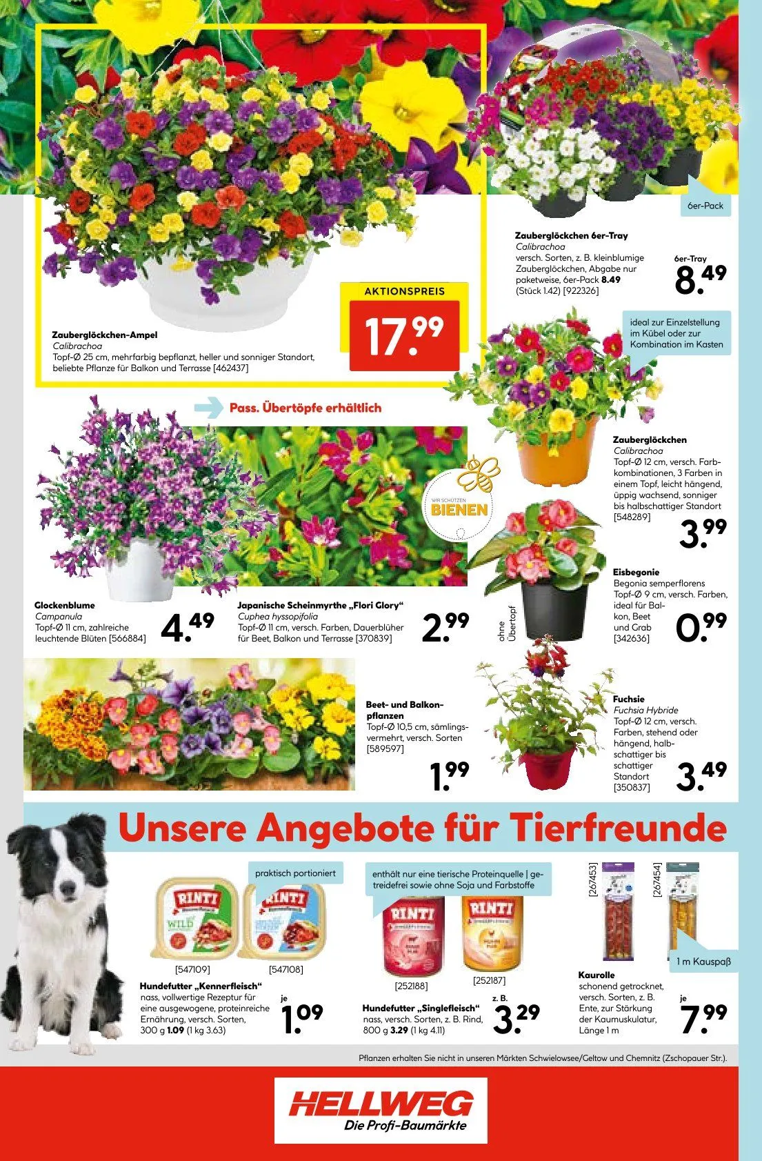 Hellweg Angebote von 19. Mai bis 29. Mai 2025 - Prospekt seite 24