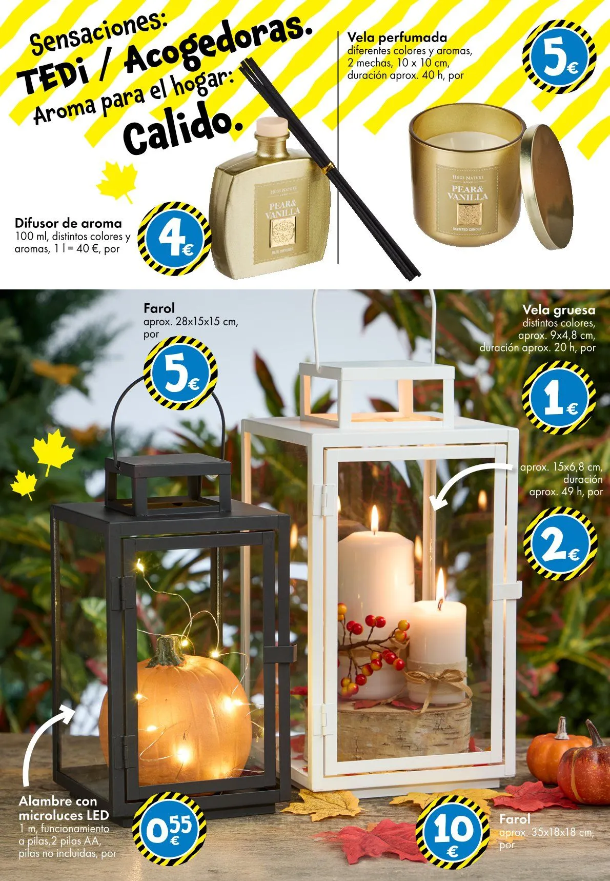 Catálogo de Conoce las últimas ofertas de TEDi 3 de octubre al 12 de octubre 2025 - Página 24