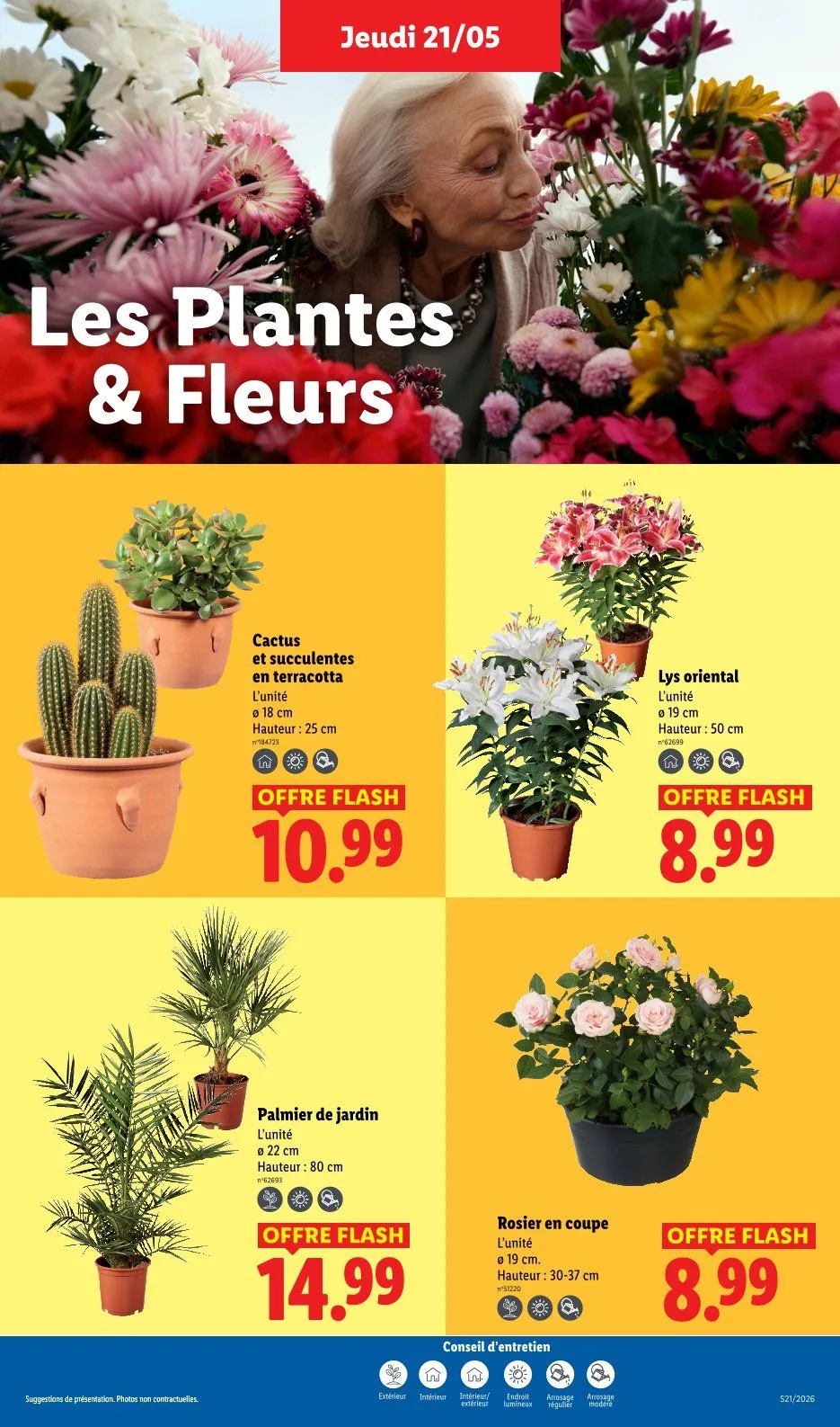 Catalogues Lidl du 28 mai au 3 juin 2026 - Catalogue page 25