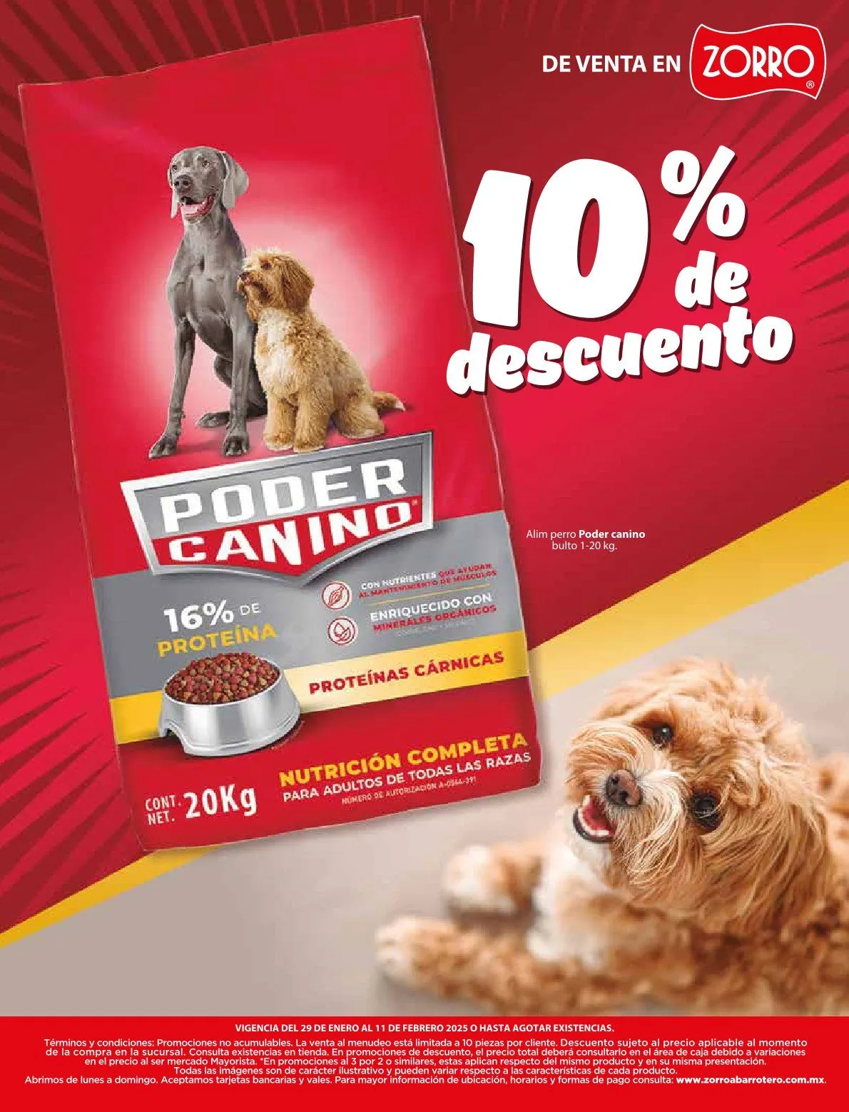 Catálogo de Oferta actual: Zorro 29 de enero al 11 de febrero 2025 - Pagina 25