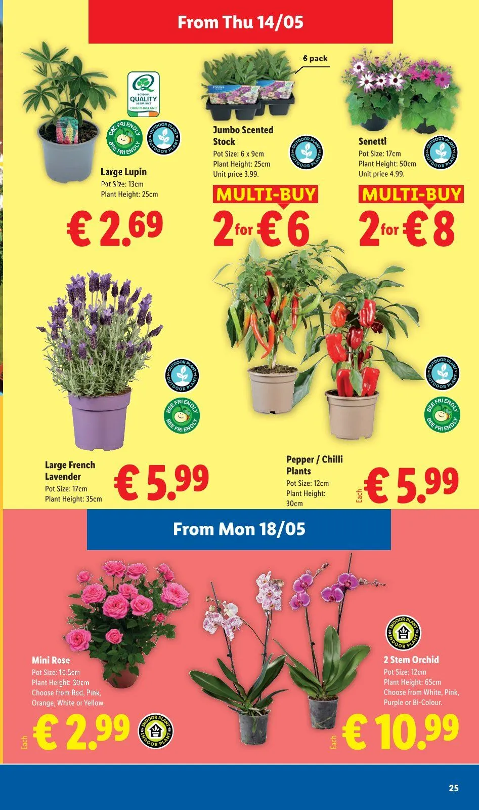 Lidl weekly ads - 14 May 20 May 2026 - Page 25