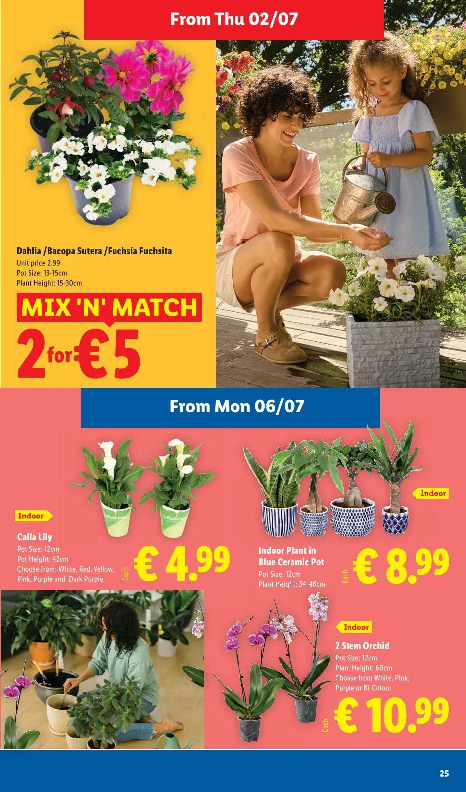 Lidl - 2 July 8 July 2026 - Page 25