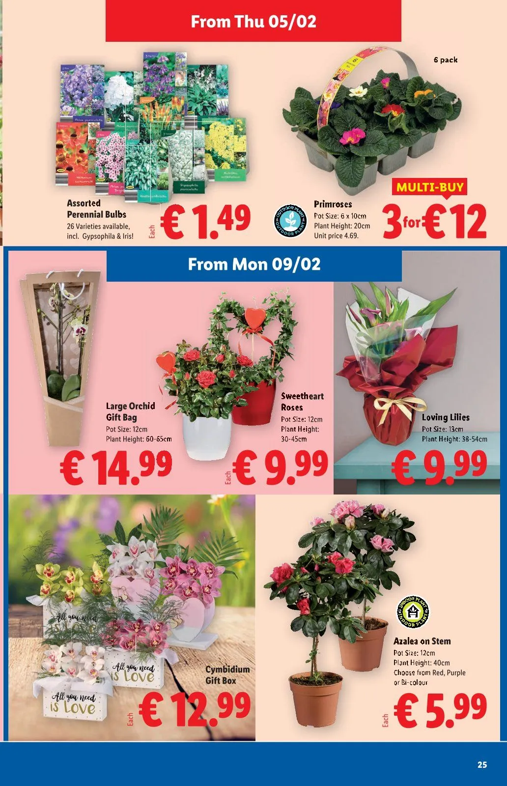 Lidl weekly ads - 5 February 11 February 2026 - Page 25