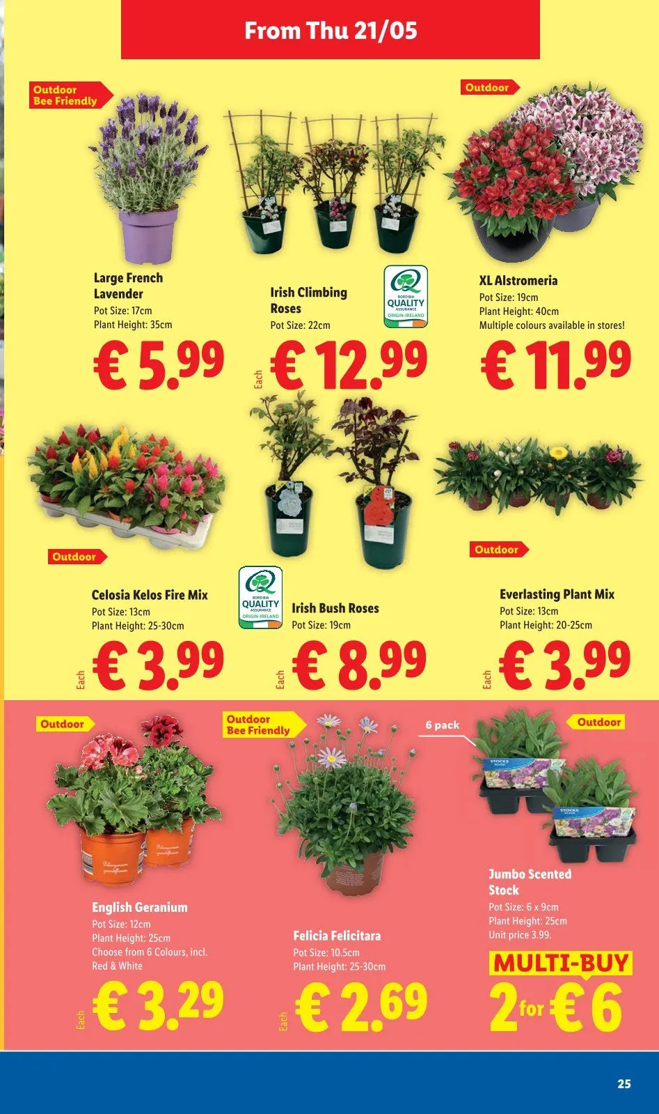 Lidl weekly ads - 21 May 27 May 2026 - Page 25