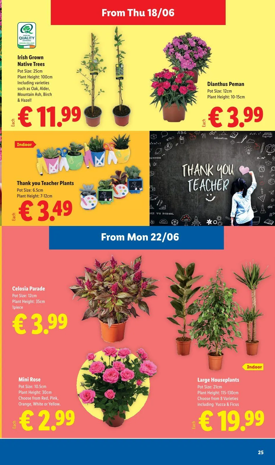 Lidl Sales - 18 June 24 June 2026 - Page 25