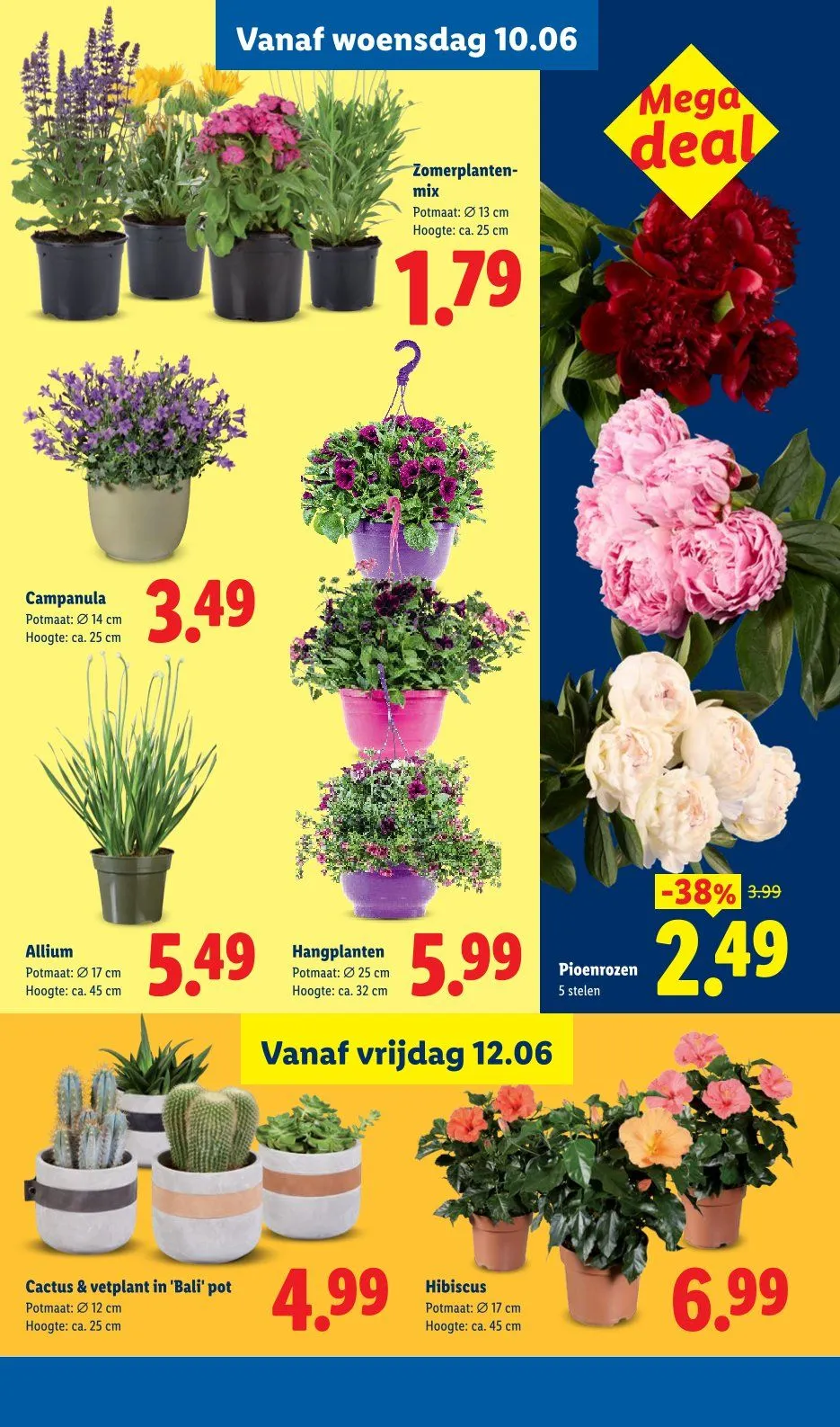 Lidl folders van 4 juni tot 10 juni 2026 - Folder pagina 25