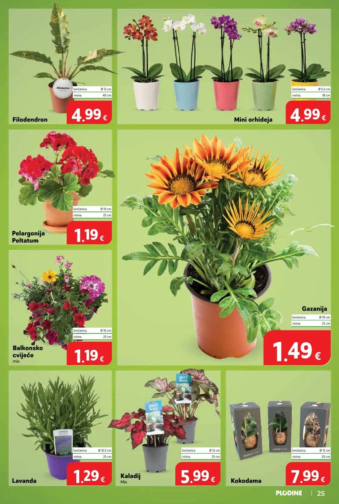 Katalog Plodine od 3. lipnja do 9. lipnja 2026. - Pregled Stranica 25