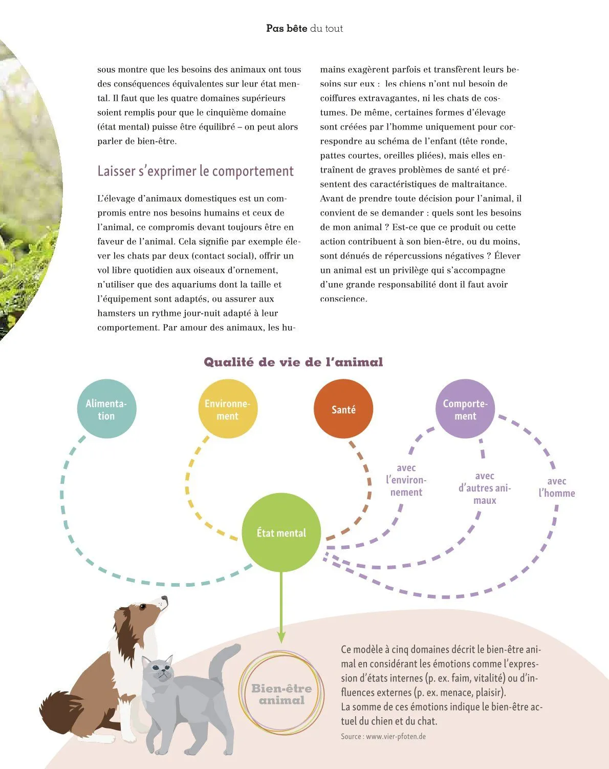 Maxi ZOO Catalogue du 23 décembre au 31 décembre 2025 - Catalogue page 25