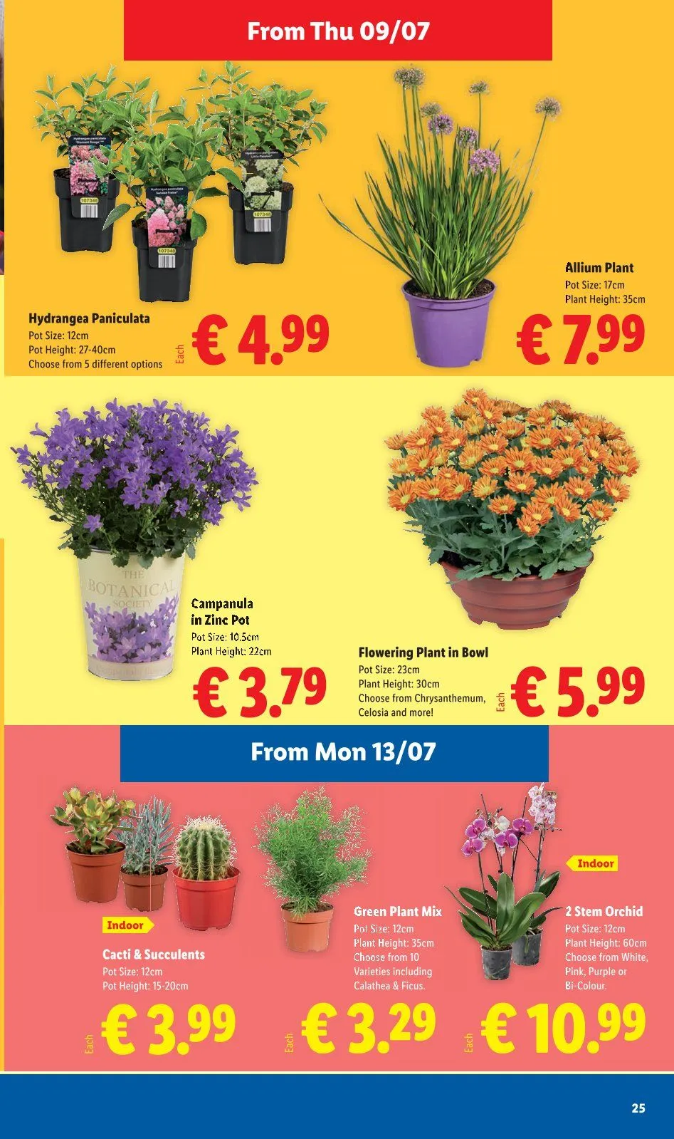 Lidl - 9 July 15 July 2026 - Page 25