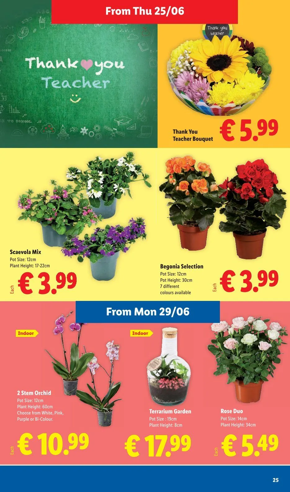 Lidl - 25 June 1 July 2026 - Page 25