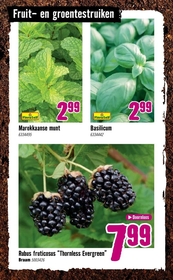 Hornbach folders van 8 april tot 3 mei 2026 - Folder pagina 26