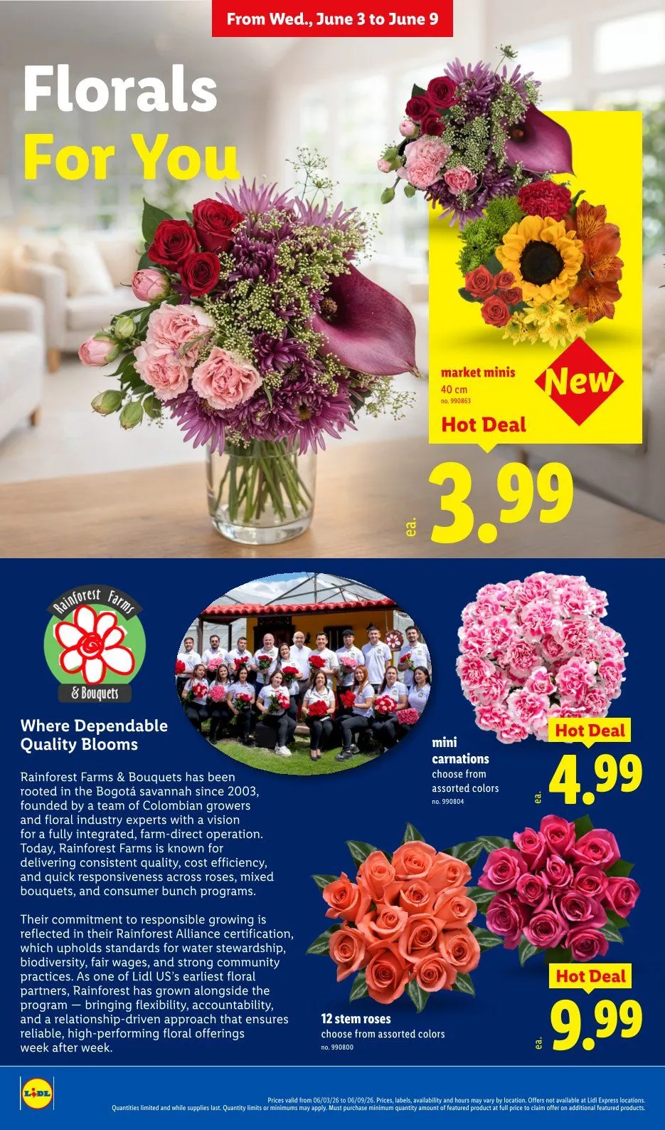 Weekly promotion Lidl Sales spanning from June 3 to June 9 2026 - Page 26 for Catalogue 365