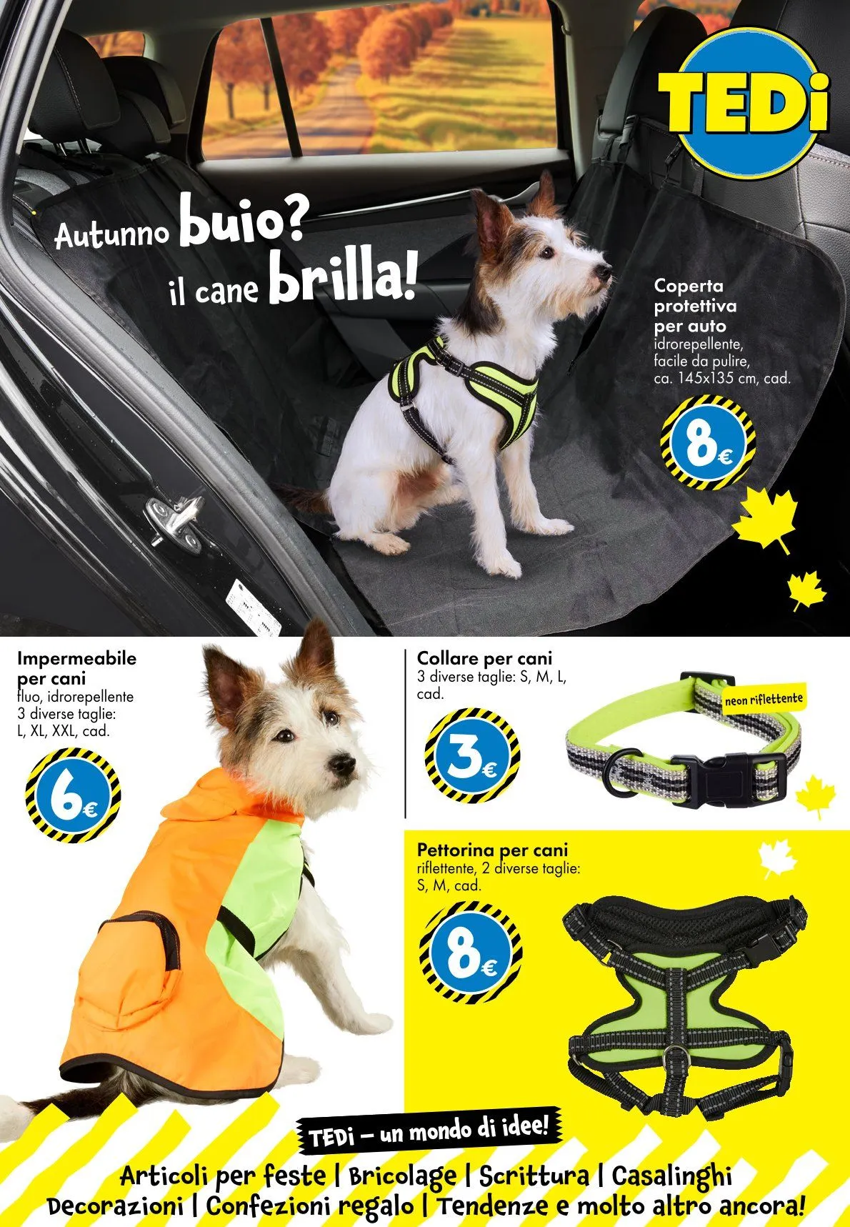 Volantini Tedi da 10 ottobre a 22 ottobre di 2025 - Pagina del volantino 26