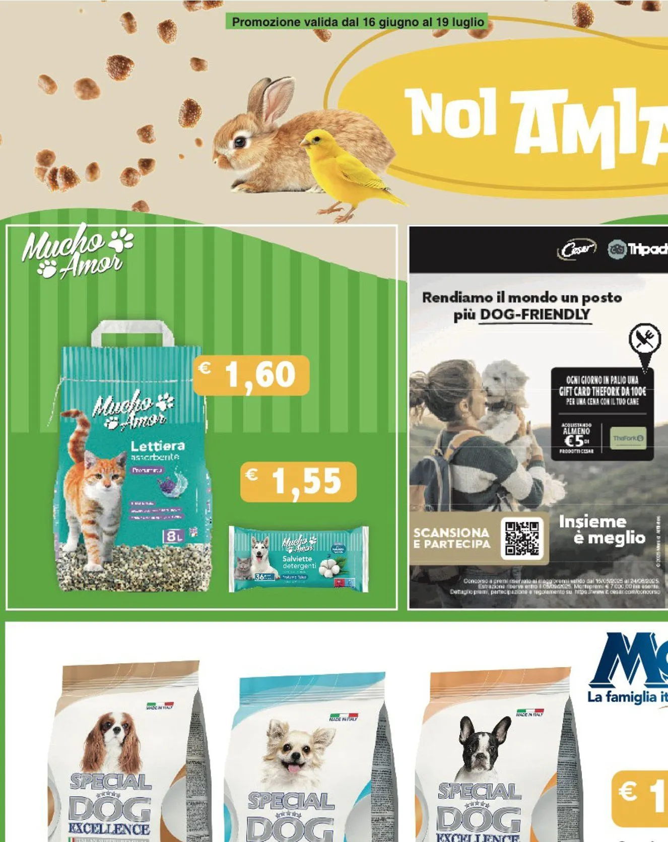 Volantino Piccolo da 16 giugno a 29 giugno di 2025 - Pagina del volantino 26