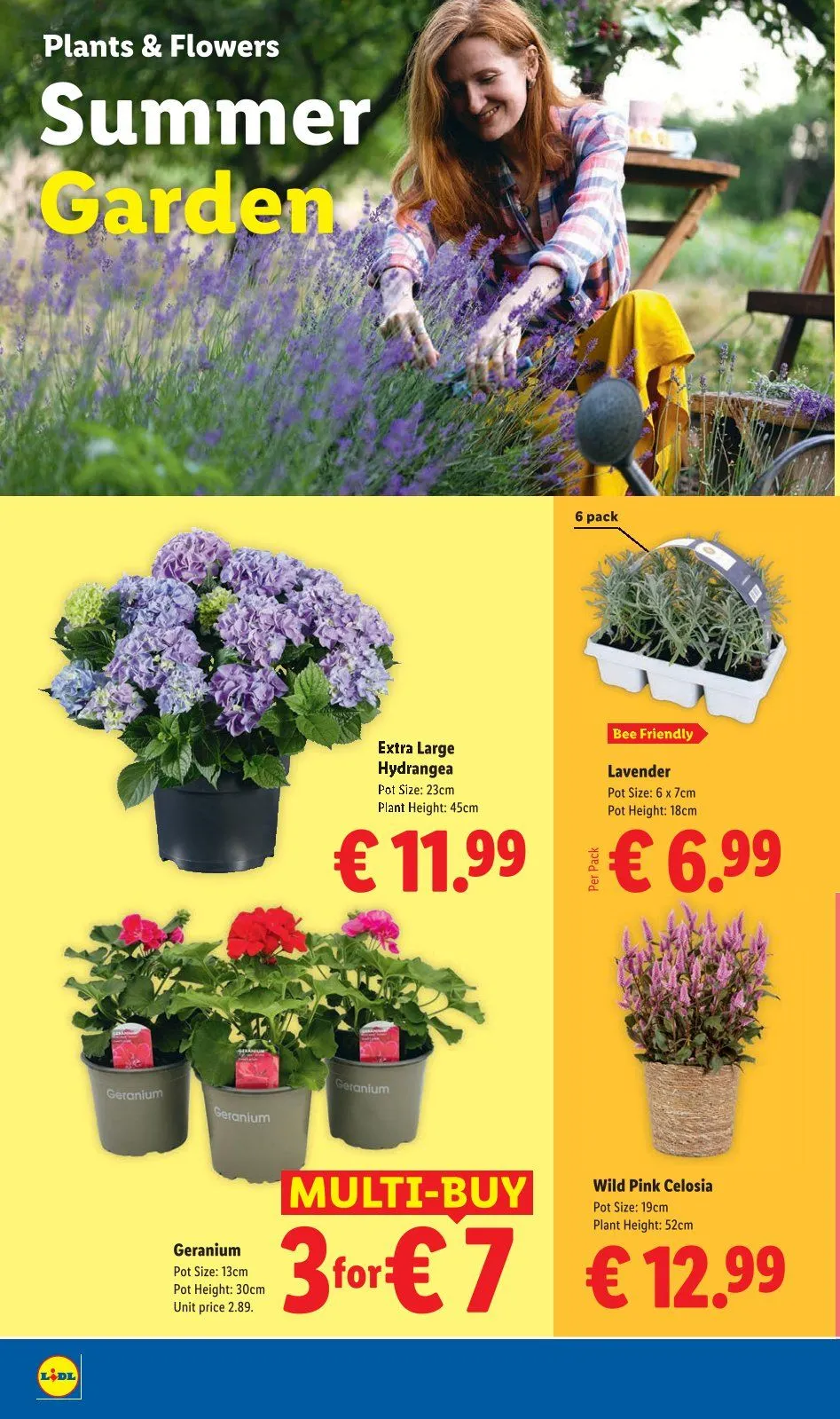 Lidl - 16 July 22 July 2026 - Page 28