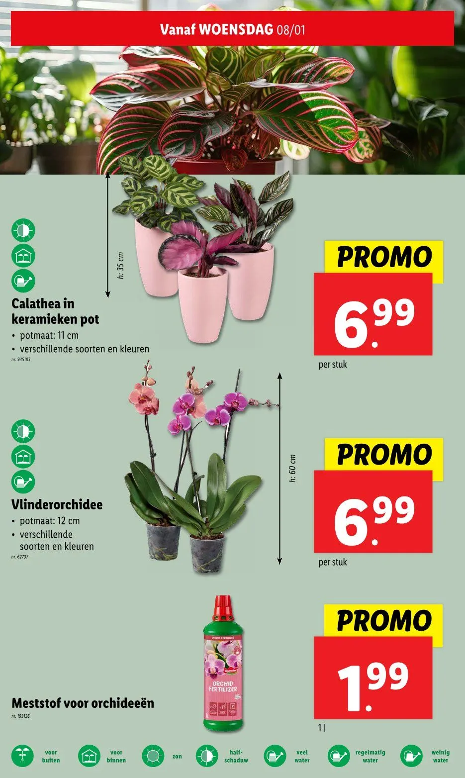 Aldi Promoties van 8 januari tot 14 januari 2025 - folder pagina 26