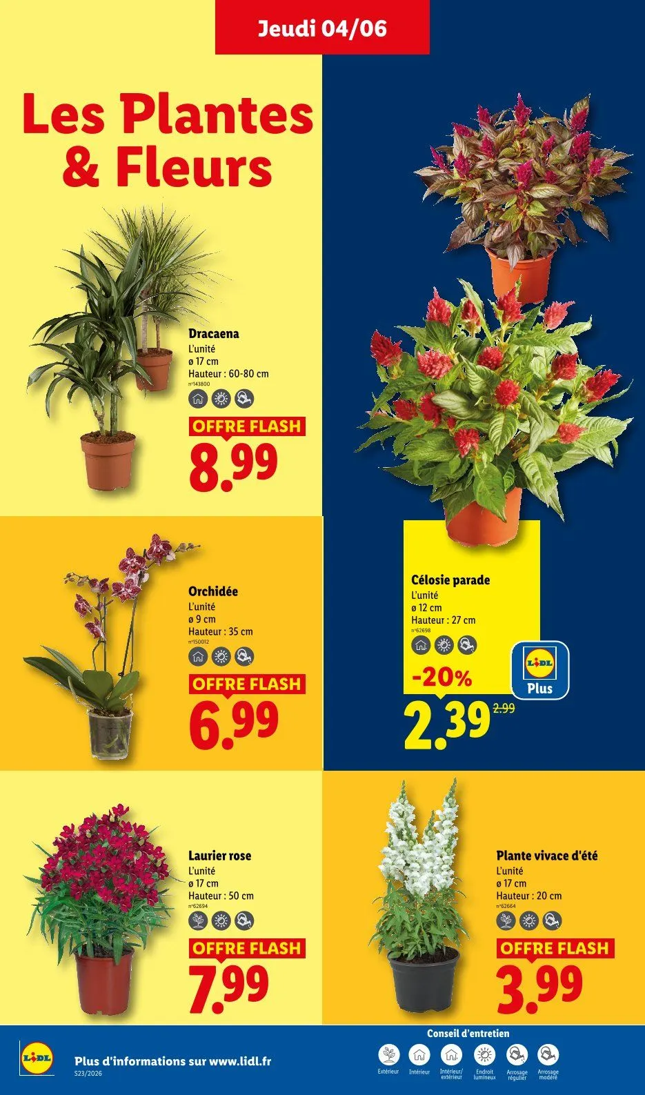 Catalogues Lidl  du 4 juin au 10 juin 2026 - Catalogue page 26