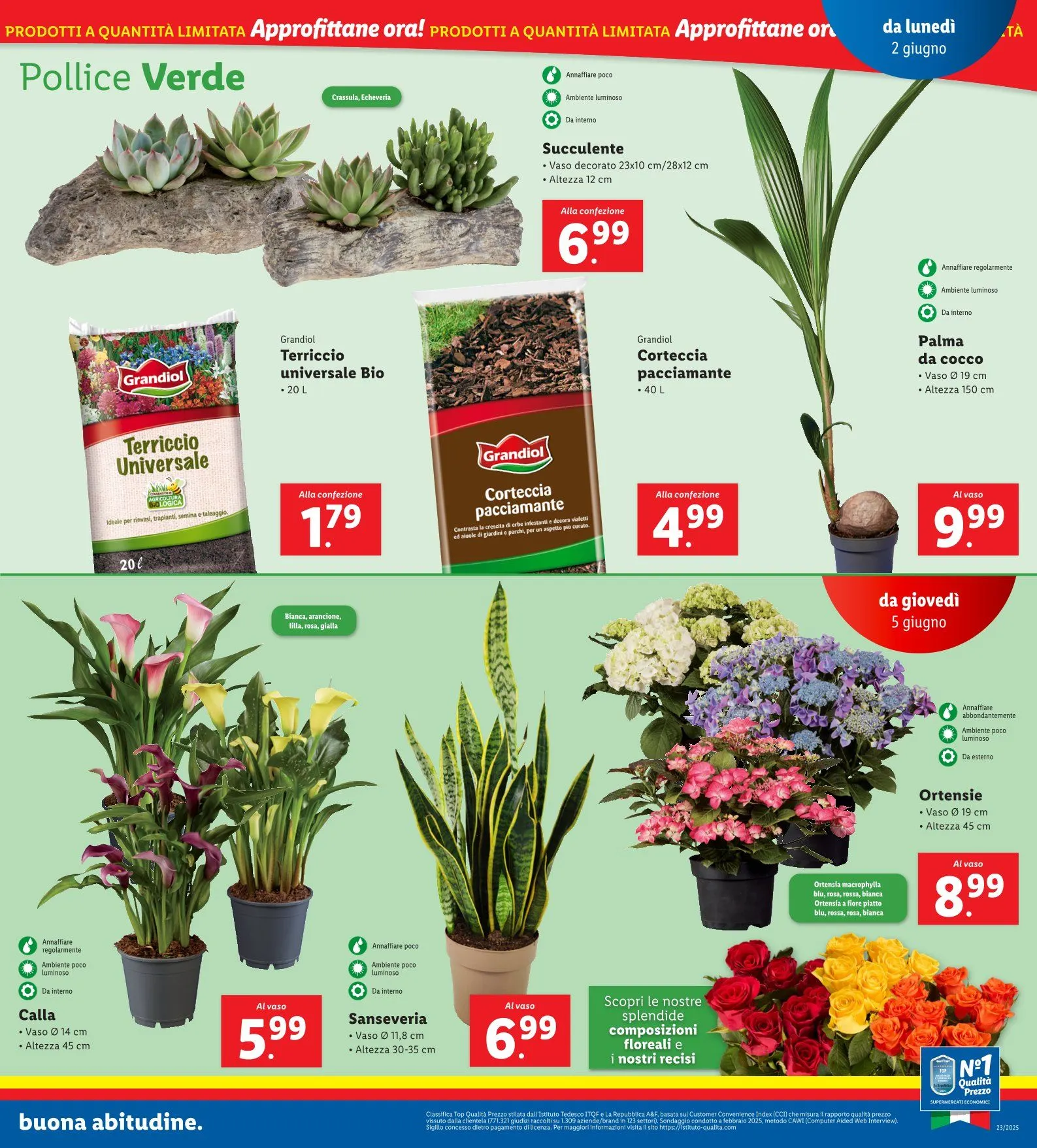 Volantini Lidl da 2 giugno a 8 giugno di 2025 - Pagina del volantino 27